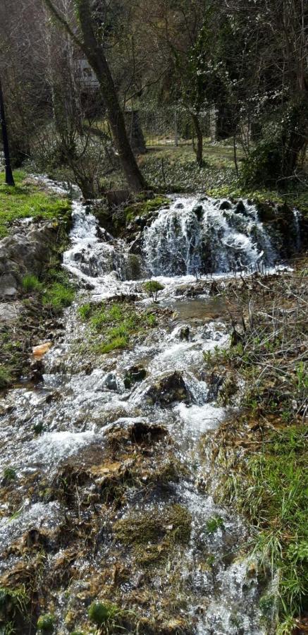 Vila Camelia جولوباك المظهر الخارجي الصورة